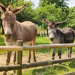 Les Petits Champs Privat bolig Buais-les-Monts