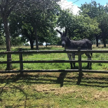 Les Petits Champs * Buais-les-Monts