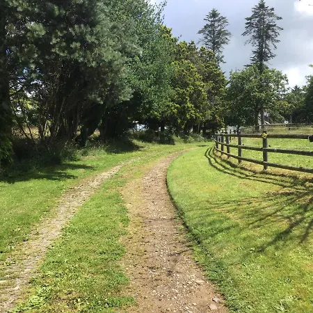 Les Petits Champs * Buais-les-Monts