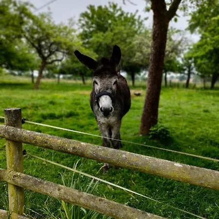 Les Petits Champs Accommodatie bij particulieren Buais-les-Monts