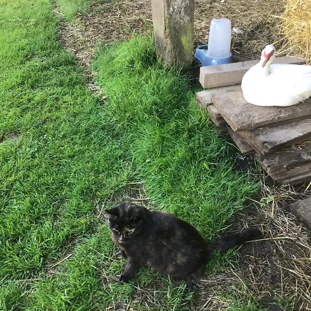 Les Petits Champs Buais-les-Monts