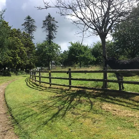 Les Petits Champs Buais-les-Monts
