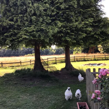 Les Petits Champs Buais-les-Monts