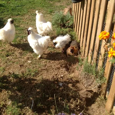 Quarto em Acomodações Particulares Les Petits Champs Buais-les-Monts