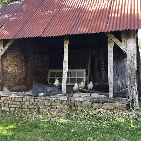 Accommodatie bij particulieren Les Petits Champs