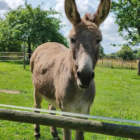 Les Petits Champs Quarto em Acomodações Particulares *