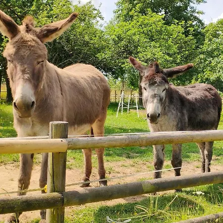 Les Petits Champs Quarto em Acomodações Particulares Buais-les-Monts