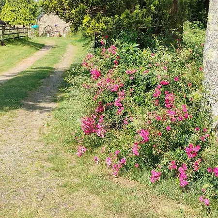 Quarto em Acomodações Particulares Les Petits Champs *