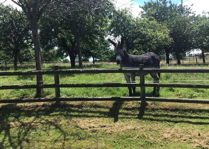 Les Petits Champs * Buais-les-Monts