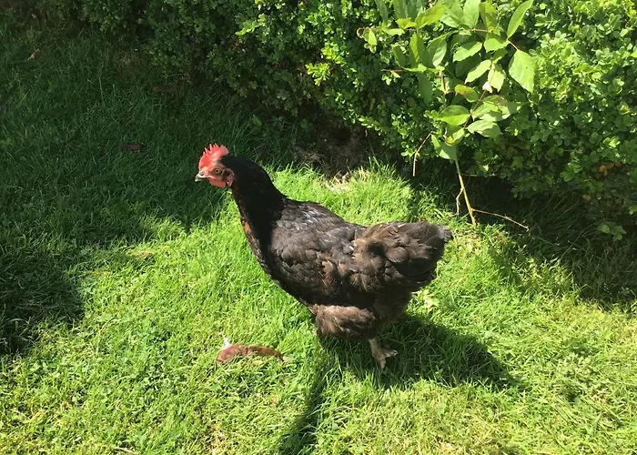 Les Petits Champs Buais-les-Monts