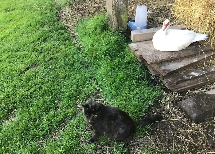 Les Petits Champs Buais-les-Monts