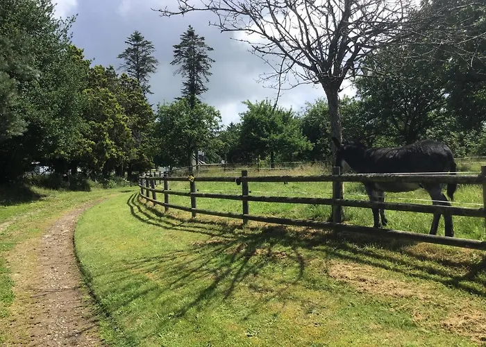 Les Petits Champs Buais-les-Monts