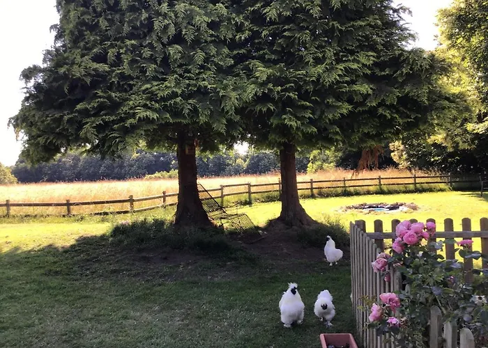 Les Petits Champs Buais-les-Monts