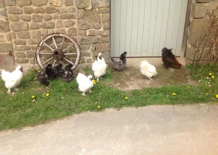 Les Petits Champs Séjour chez l'habitant Buais-les-Monts