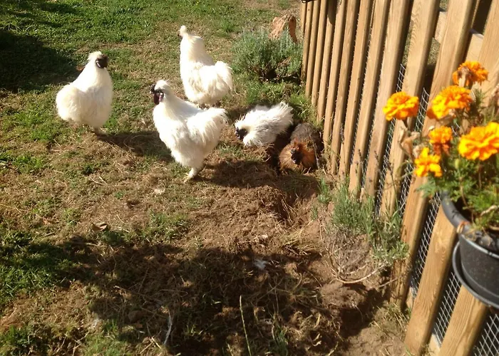 Accommodatie bij particulieren Les Petits Champs Buais-les-Monts