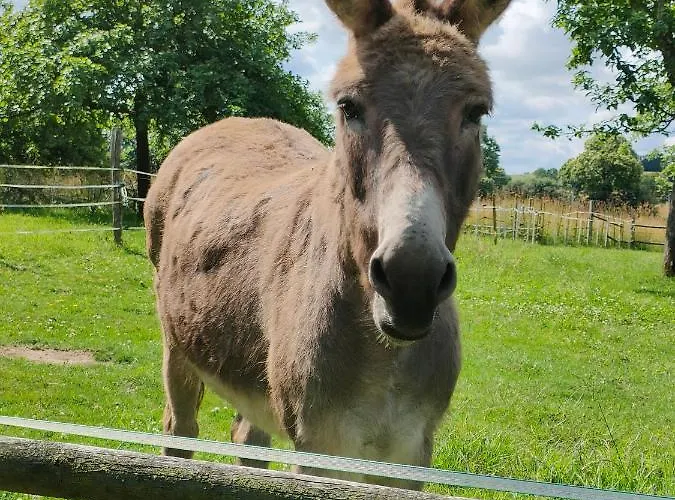 Les Petits Champs Accommodatie bij particulieren *