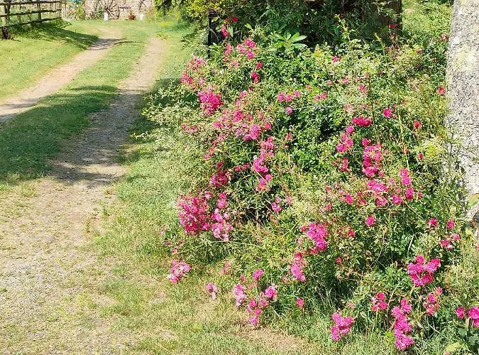 Accommodatie bij particulieren Les Petits Champs *